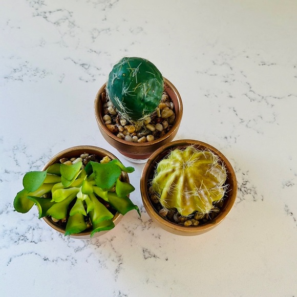 Pier 1 set of three faux mini decorative cactus - Picture 8 of 15